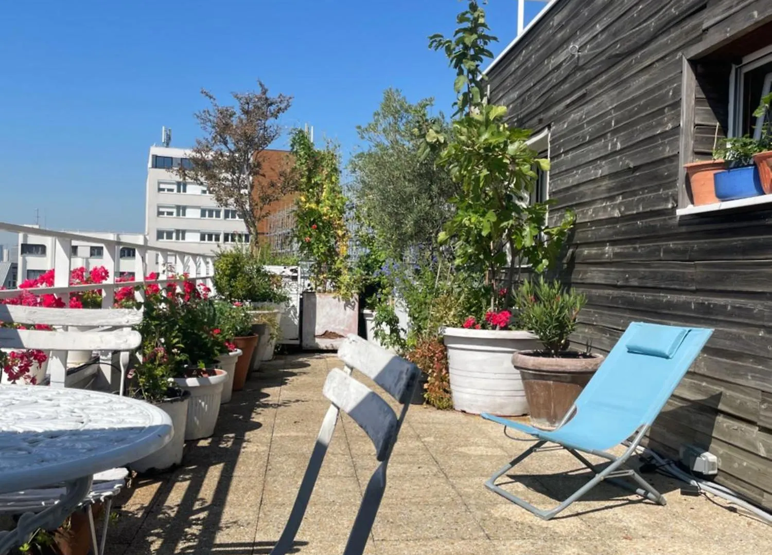 Trois Pieces Sur Parc De La Villette Terrasse Et Vues パリ